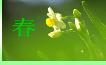 幼儿园春节教案模板5篇