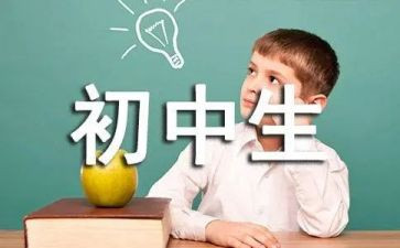 初中语文老师年度总结6篇