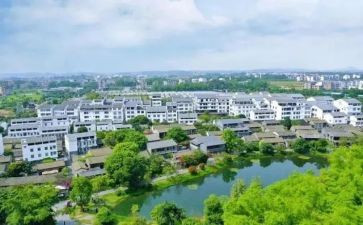 村半年总结报告通用6篇