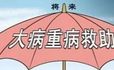 大病补助申请书8篇