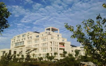大二下学生自我鉴定参考5篇