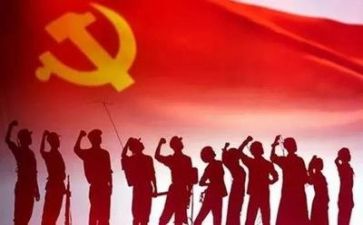 党支总结报告范文推荐8篇