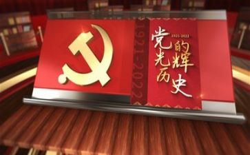 对党个人总结报告8篇