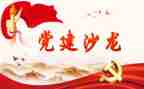 2023年党建半年度总结7篇