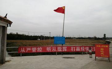 党员排查整顿工作总结8篇