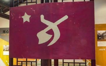 党员教师对标个人总结6篇