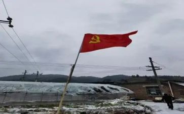 大学生党员转正申请书1500字5篇
