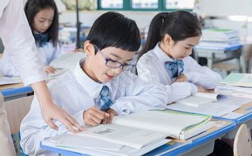 导师做工作计划5篇