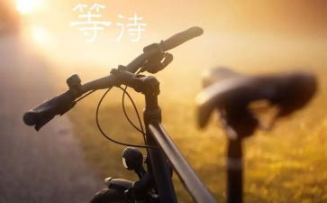 我等待你作文600字通用8篇