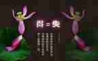 关于得与失的作文模板5篇