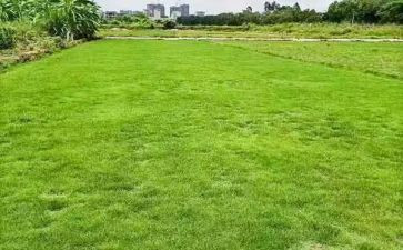 场地租赁合同范本合同优秀8篇