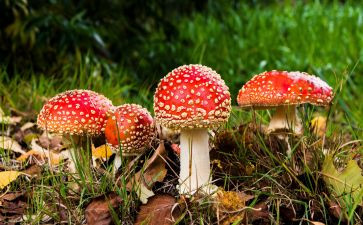 禁毒教育月活动总结6篇