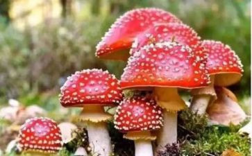禁毒主题班会总结报告6篇