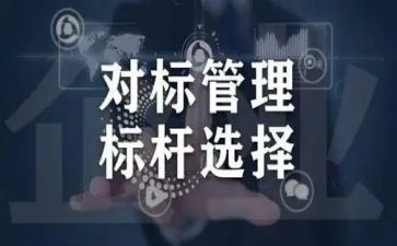 对标工作总结报告精选5篇