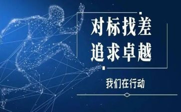 政治对标心得体会精选5篇