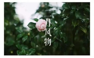 2024年二月工作总结最新7篇