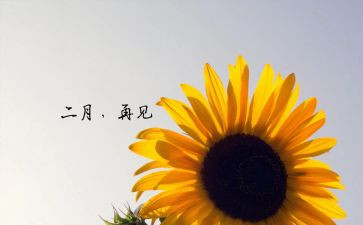 十二月幼儿园工作计划精选6篇