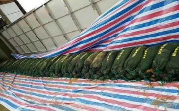 2023年防汛工作总结范文6篇