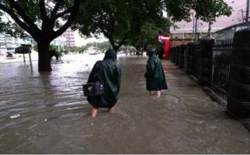 防汛办工作计划6篇