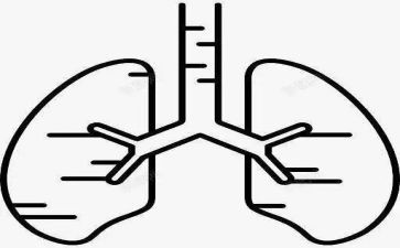 肺康复工作总结最新6篇