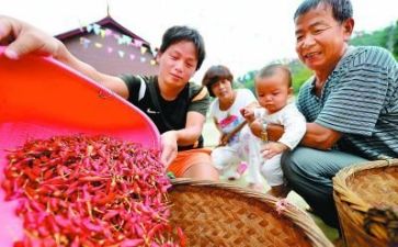 年度个人扶贫工作总结5篇