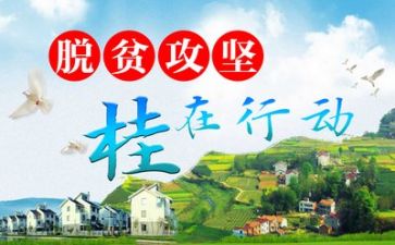 定点扶贫工作总结8篇