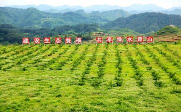 2023年办扶贫工作计划7篇