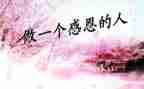 感恩主题活动总结范文8篇