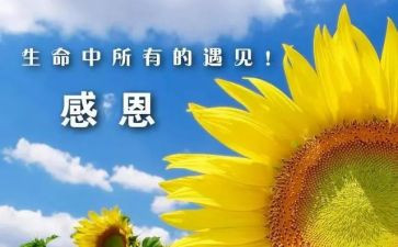 感谢老师小作文模板6篇