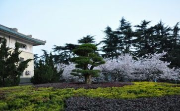 高校毕业生鉴定表自我鉴定参考5篇