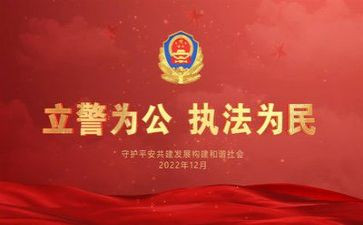 2024公安个人年终总结6篇