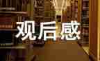 2024足球观后感精选5篇
