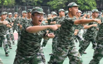 观训心得体会300字优质5篇