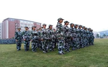 观训心得体会300字7篇