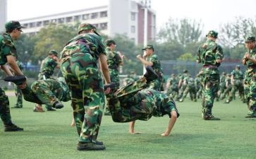 观训自我鉴定300字6篇