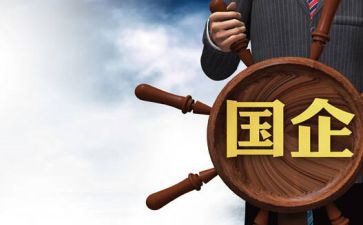 国企个人半年度总结8篇