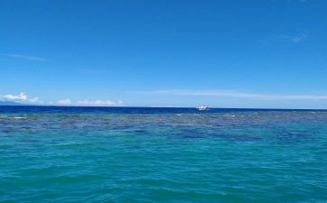 海龟海龟作文6篇