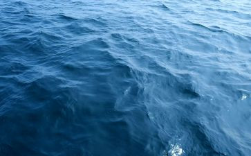 2024海归就业力调查报告推荐7篇