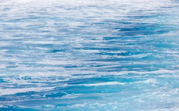 海训总结报告优质5篇