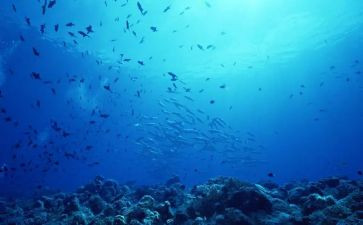 海底两万心得体会优秀5篇