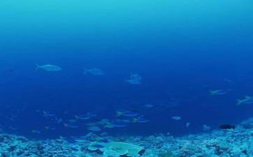 海底两万读书心得体会精选6篇