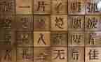 《我们的汉字》读后感6篇