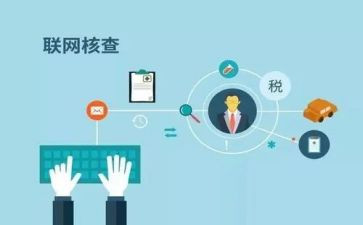 核查工作总结8篇