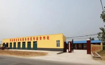 合作社流转土地合同8篇
