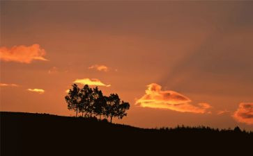 怀念中考作文7篇