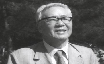 华罗庚读后感7篇