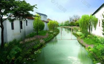 生态环境个人总结5篇