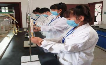 检化验工作计划8篇