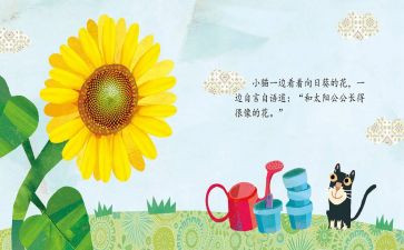 绘本《漏》的教案5篇