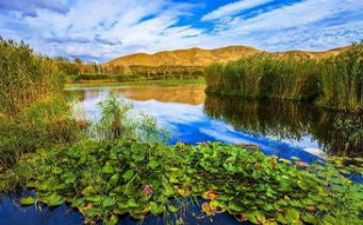 活在我心中演讲稿最新5篇